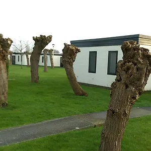 Dezaligheid , Middelkerke Belgique